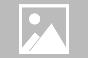 必赢体育app下载-罗马诺：老佛爷爱上了奥利塞，他相信奥利塞能将魔力带回伯纳乌